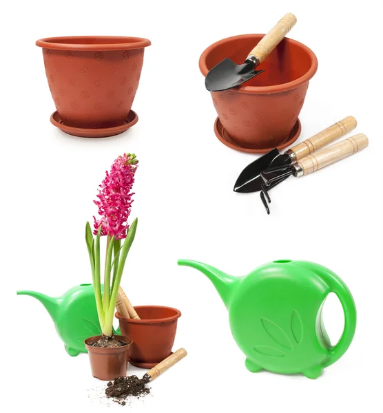 Set of tools for gardening and hyacinth in a pot — Stock Photo, Image