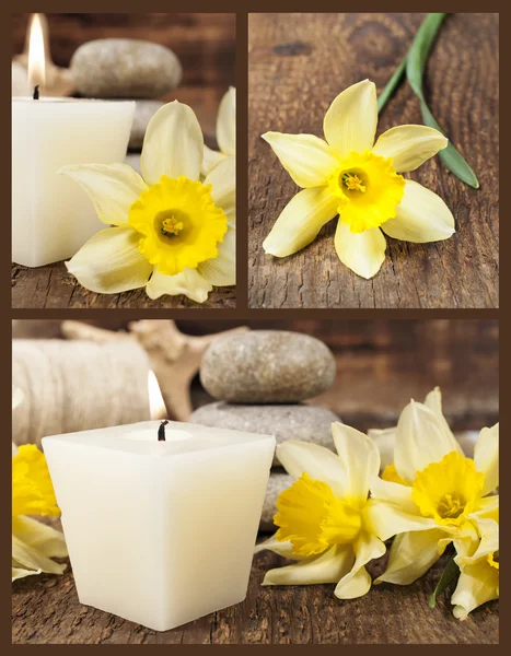 Set of still life with a candle and daffodils — Stock Photo, Image