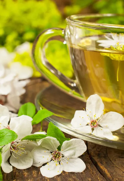 Green tea with herbs — Stock Photo, Image