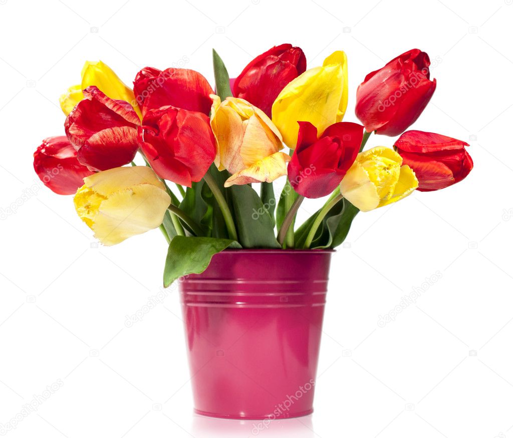 バケツの中の赤と黄色のチューリップの花束 ストック写真 C Viktoriya バケツの中の赤と黄色のチューリップの花束 ストック写真 C Viktoriya