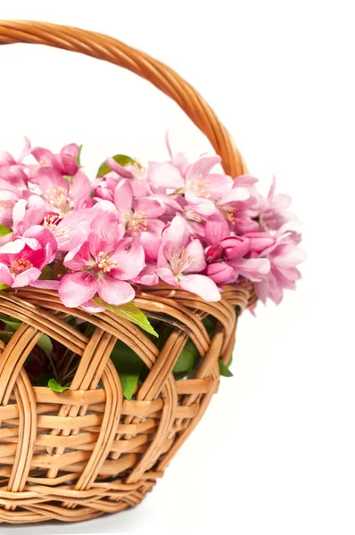 Basket with pink spring flowers — Stock Photo, Image