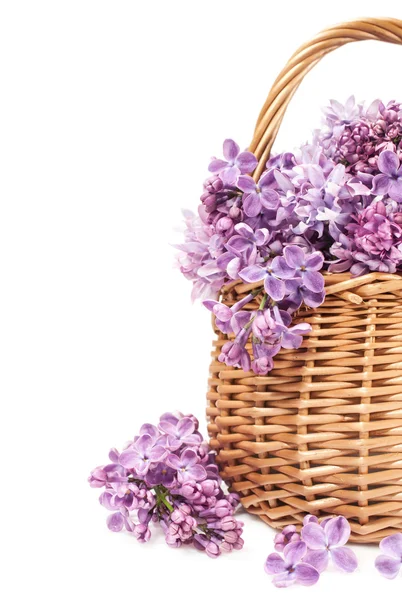 Buquê de flores lilás em uma cesta de vime — Fotografia de Stock