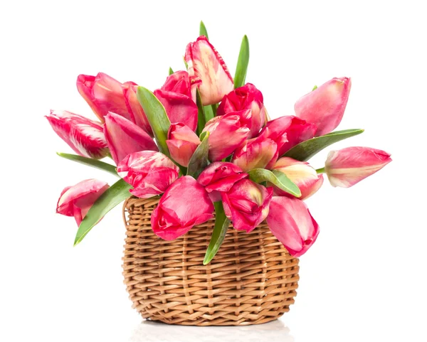 Tulipany w wiklinowym koszu — Zdjęcie stockowe