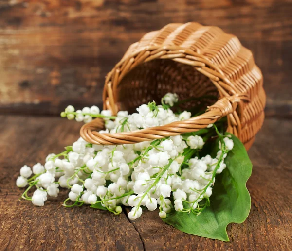 Bouquet de lys de la vallée dans un panier en osier — Photo