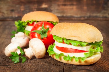 Vejeteryan taze domates ve peynirli sandviç