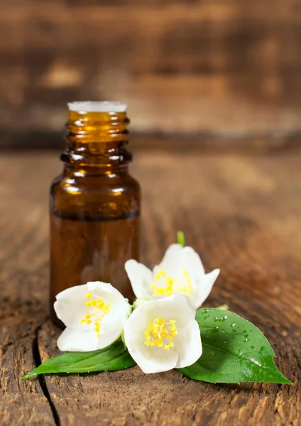 Essential oil and blooming jasmine — Stock Photo, Image