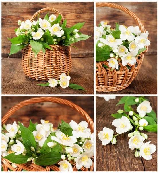 Set of images with jasmine in wicker basket — Stock Photo, Image
