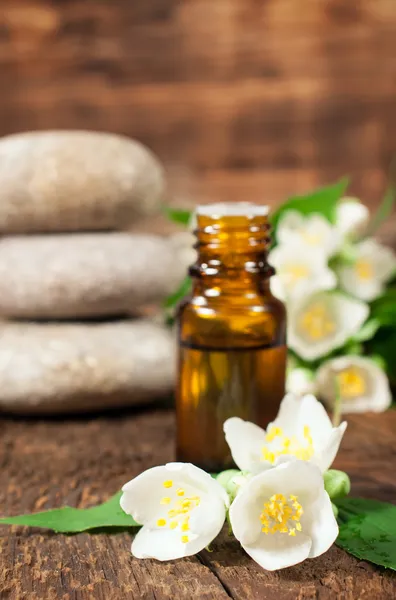 Olio essenziale di gelsomino per aromaterapia — Foto Stock