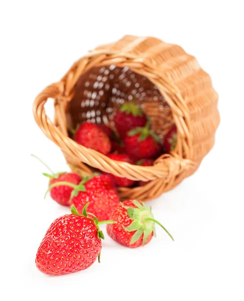 Ripe strawberries in a basket — Stock Photo, Image