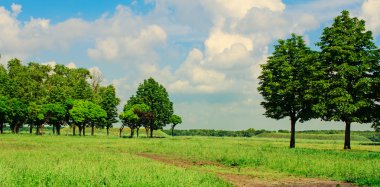 mavi gökyüzü ve yeşil alan