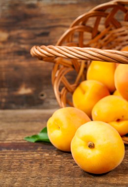 Sepette olgun kayısılar