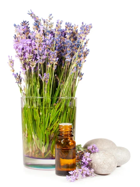 Flores de lavanda e óleo essencial — Fotografia de Stock