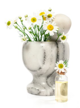 Papatya çayı yağı.