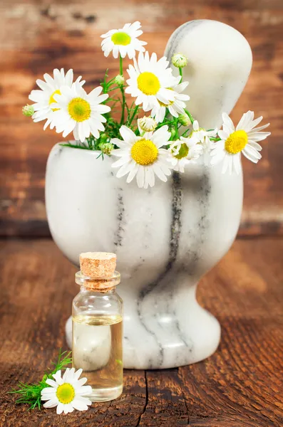 Chamomile essential oil — Stock Photo, Image