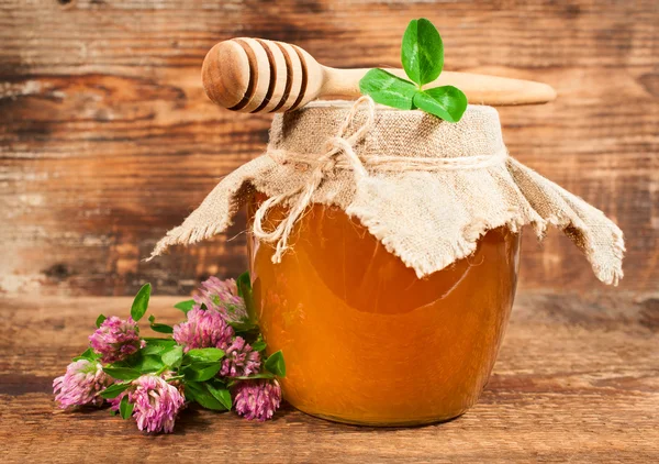 Sweet honey from flowering clover — Stock Photo, Image