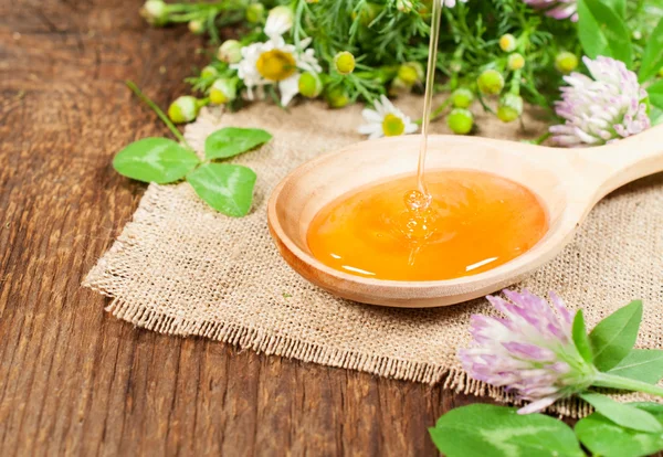 Honey in a wooden spoon — Stock Photo, Image