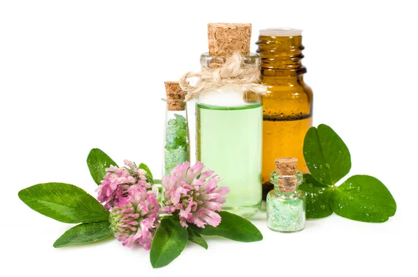 Blooming clover and aromatic oils — Stock Photo, Image