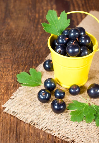 Black currants in a small bucket close up — Stock Photo, Image