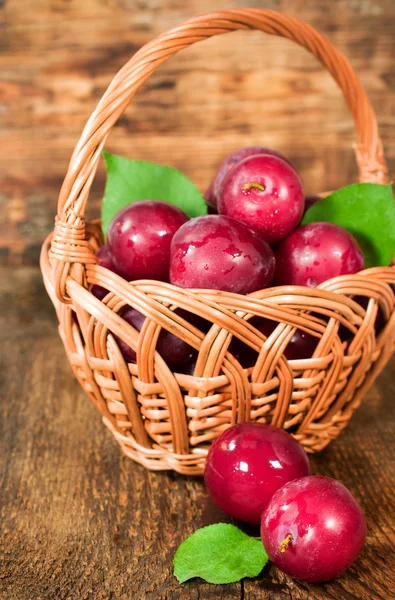 Prunes mûres dans un panier en osier — Photo