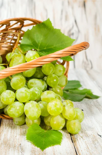 Monte de uvas verdes em uma cesta — Fotografia de Stock