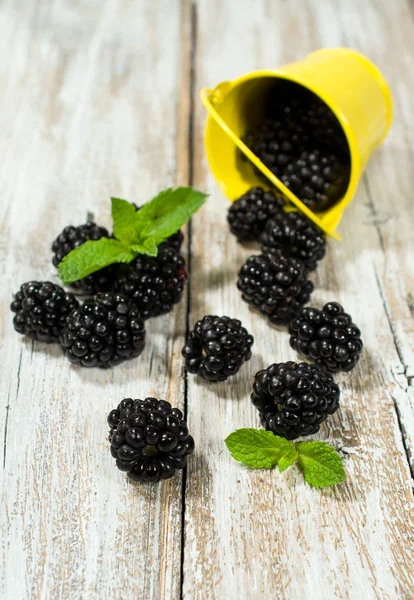 Pequeño cubo de moras — Foto de Stock