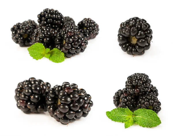 Set blackberries close-up —  Fotos de Stock