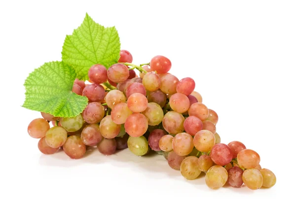 Słodki winogron na białym tle — Zdjęcie stockowe