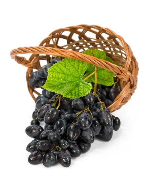 Rijpe druiven met bladeren in een rieten mand — Stockfoto