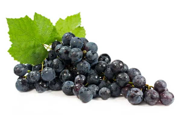 Bunch of blue grapes — Stock Photo, Image