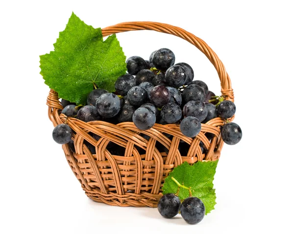 Blue ripe grapes in a wicker basket — Stock Photo, Image