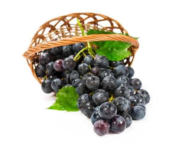 Ripe grapes in a wicker basket — Stock Photo, Image