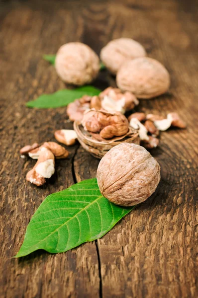 Walnuts with green leaves close up — Stock Photo, Image