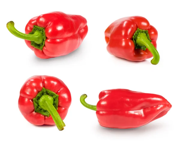 Uppsättning av röd paprika — Stockfoto