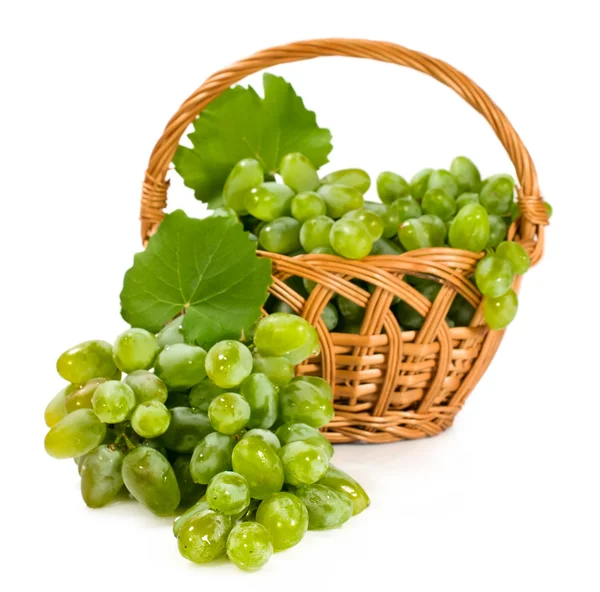 Dojrzałe winogrona białe w wiklinowym koszu — Zdjęcie stockowe
