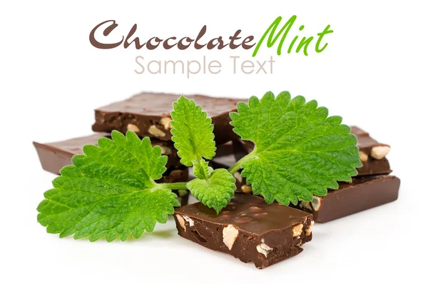 Chocolate con hojas de menta fresca — Foto de Stock