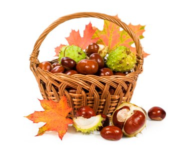 sepet içinde sonbahar yaprakları ile kestane