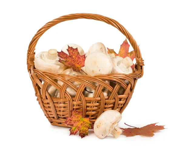 Champignons aux feuilles d'automne dans un panier en osier — Photo