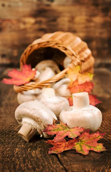 Champiñones con hojas de otoño, y canasta de mimbre de cerca —  Fotos de Stock