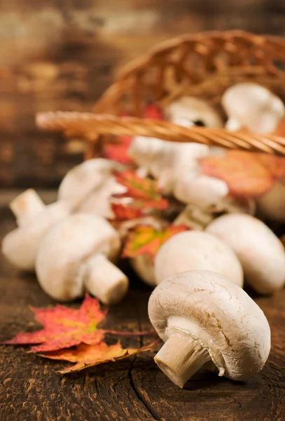 Funghi con foglie autunnali e cesto di vimini — Foto Stock
