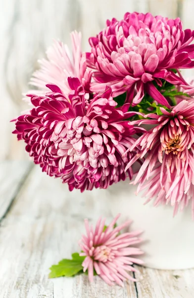 Bukett med rosa krysantemum — Stockfoto