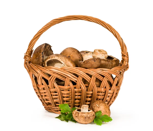 Funghi reali in un cesto — Foto Stock