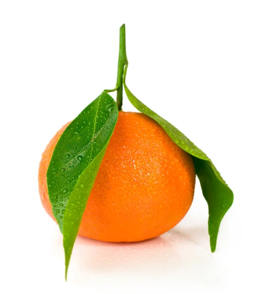 Mandarina con hojas verdes — Foto de Stock