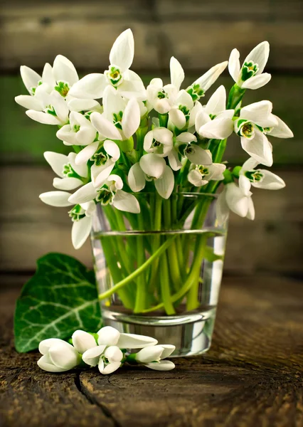 Snowdrops in the glass — Stock Photo, Image