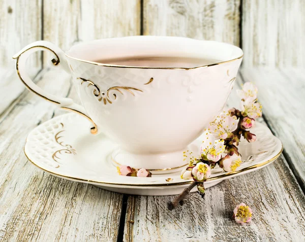 Cup of tea with flowering branches apricots — Stock Photo, Image