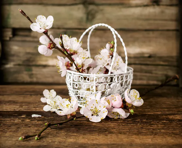 Flores de damasco em uma cesta de metal — Fotografia de Stock