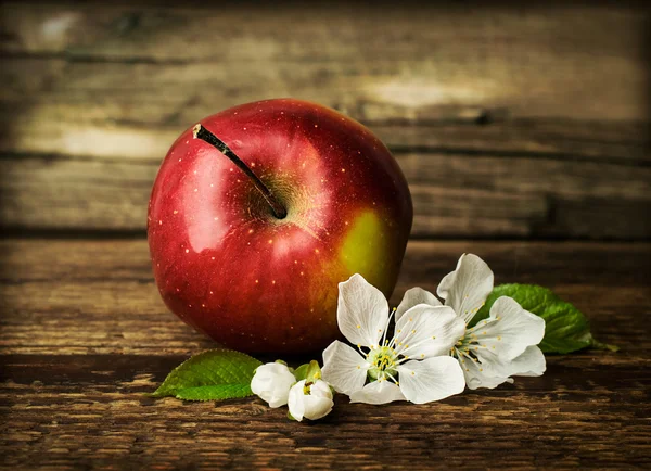 Red ripe apple with blooming flowers — Stock Photo, Image