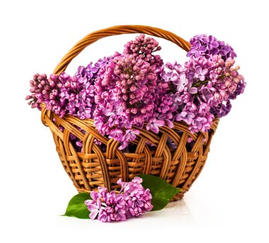 Lila ile hasır sepet