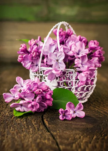 Lilac in openwork metal basket — Stock Photo, Image