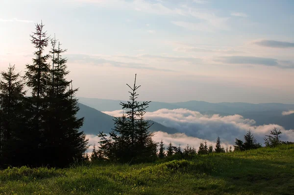 Morning in mountains — Stock Photo, Image