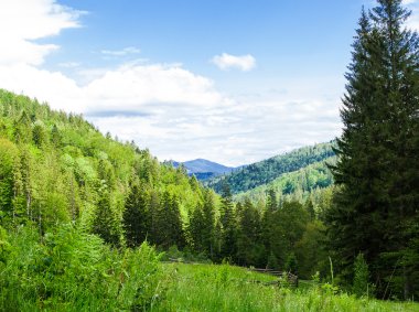 Bahar Ukraynalı Karpatlar